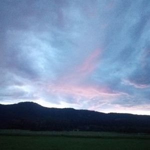 Meet your Posher, Cassie